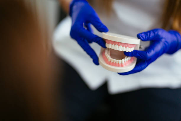 Best Dental Exams and Cleanings  in Hernando Beach, FL