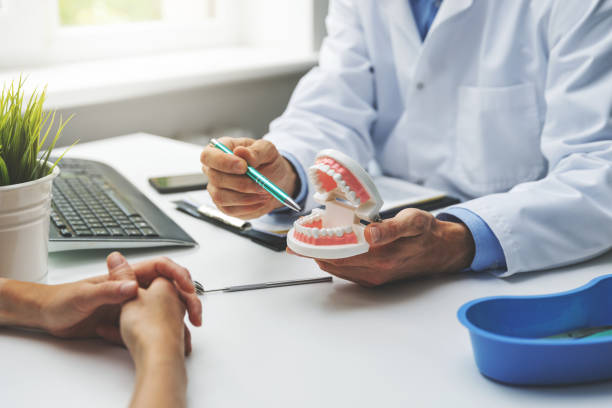 Reliable Hernando Beach, FL Dental Services Solutions