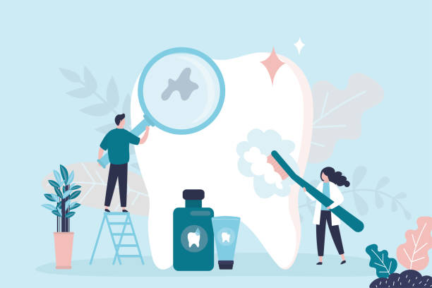 Best Preventive Dentistry  in Hernando Beach, FL